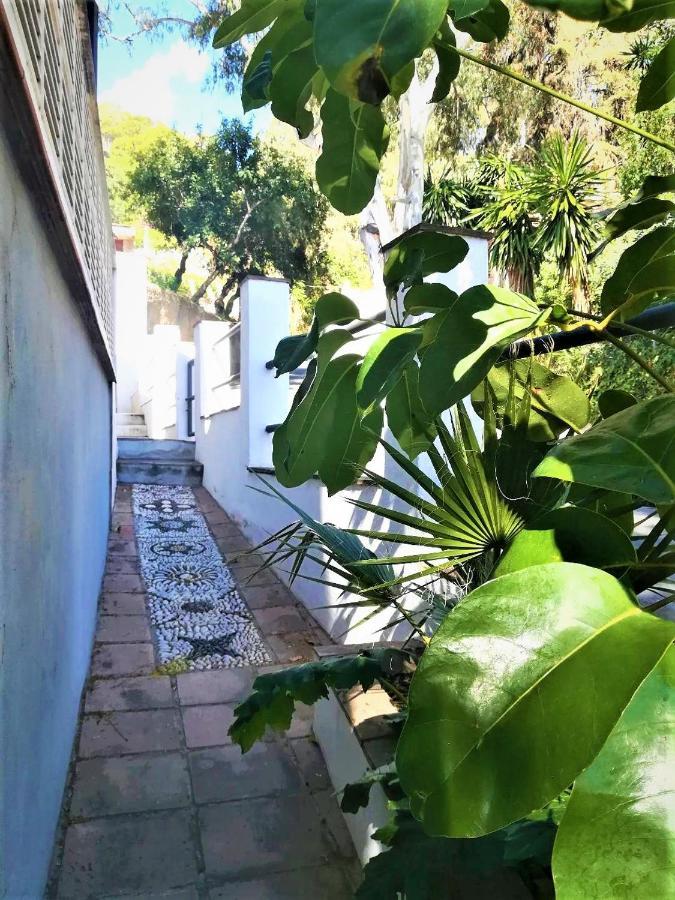 Quiet House In Malaga Villa Kültér fotó